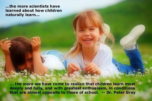 peter gray vrij spel laat kinderen leren.jpg